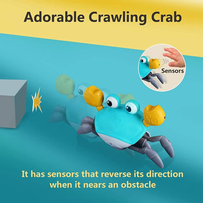 Interactive Crawling Crab Toy – Tummy Time Fun for Babies